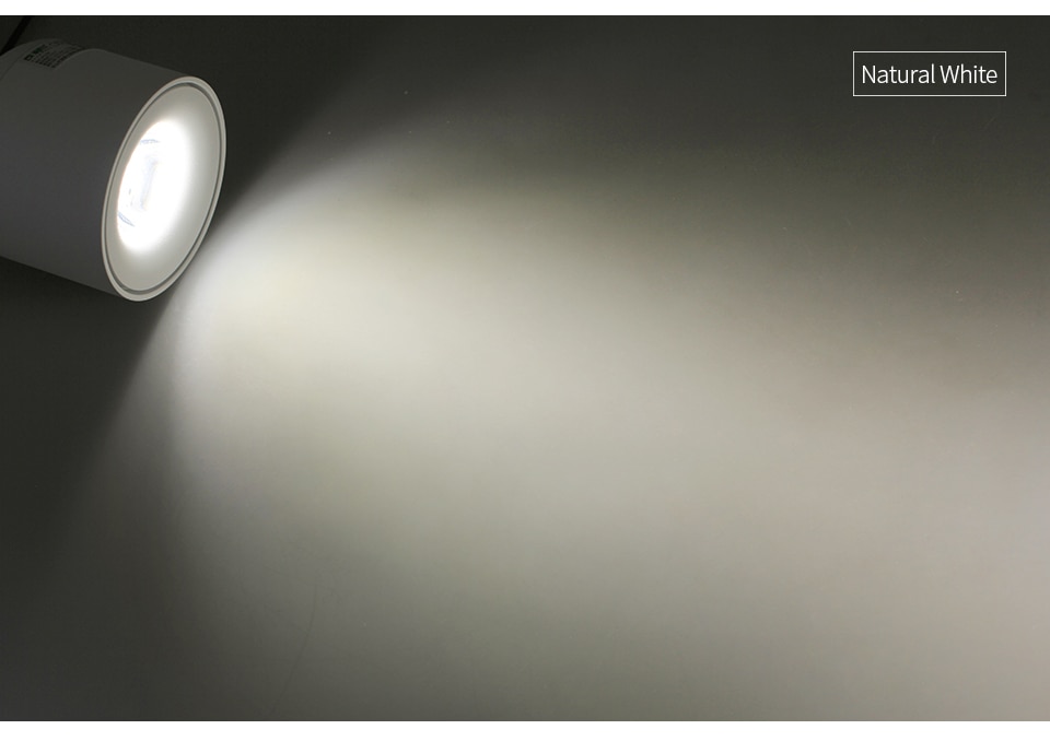 Aluminum Surface Mounted LED Spot Light