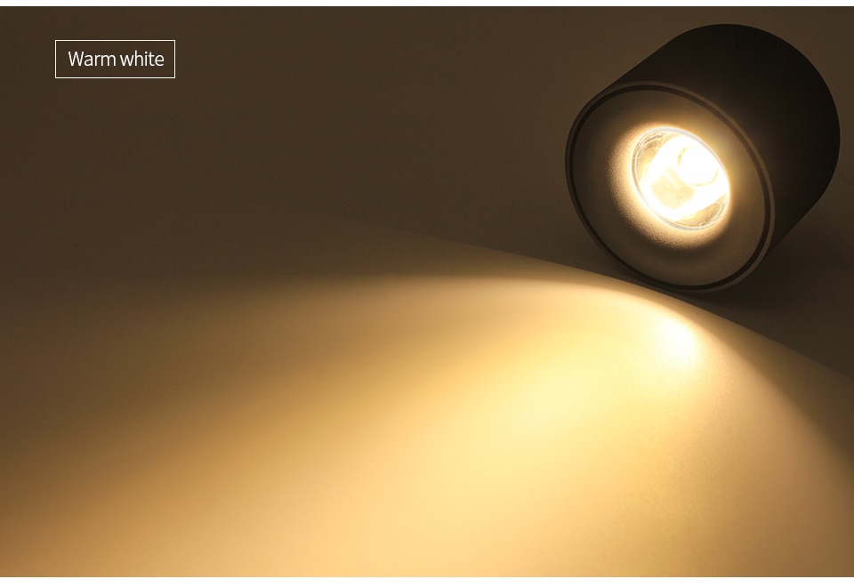 Aluminum Surface Mounted LED Spot Light