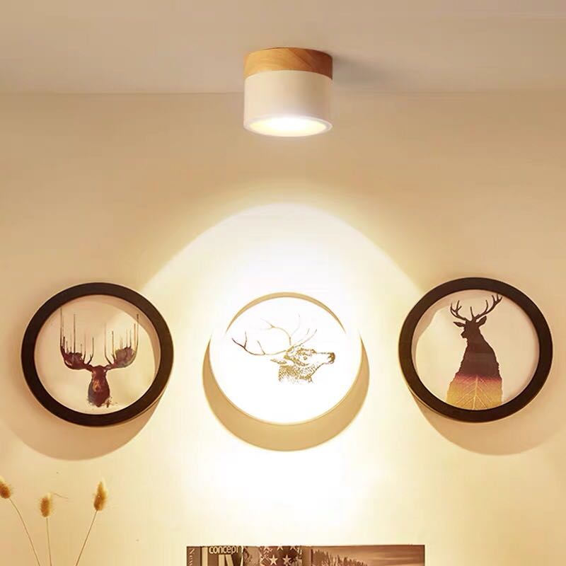 Nordic LED Surface Mounted Ceiling Downlight