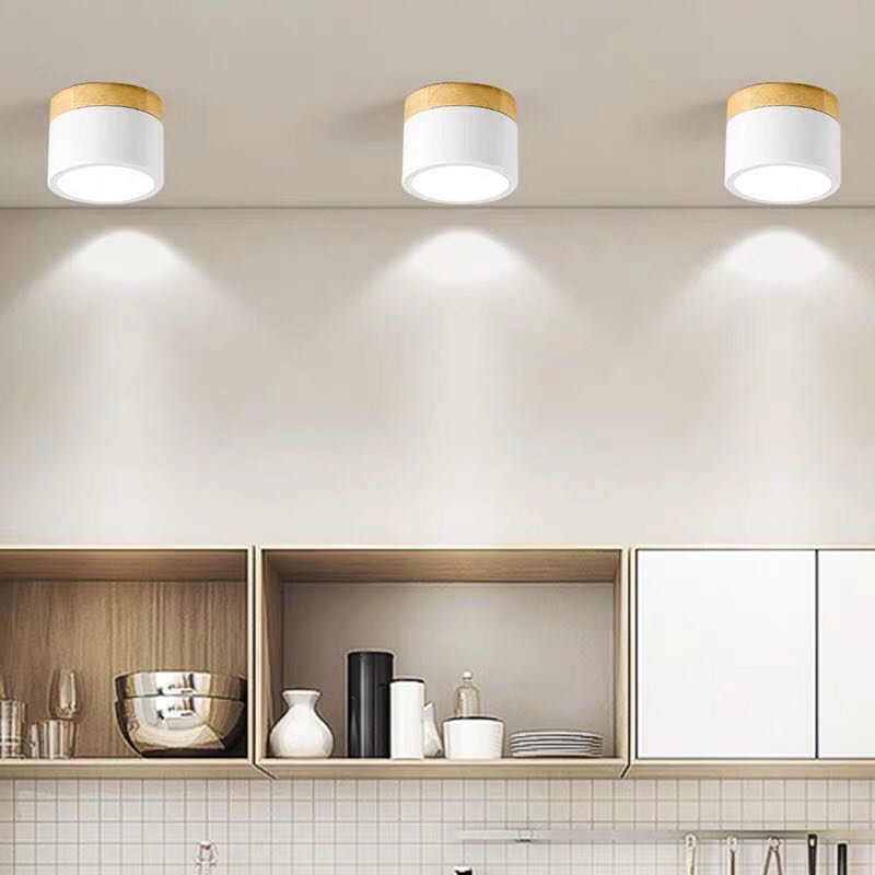 Nordic LED Surface Mounted Ceiling Downlight