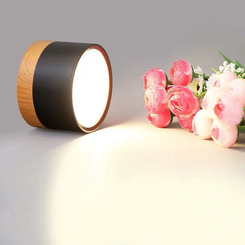 Nordic LED Surface Mounted Ceiling Downlight